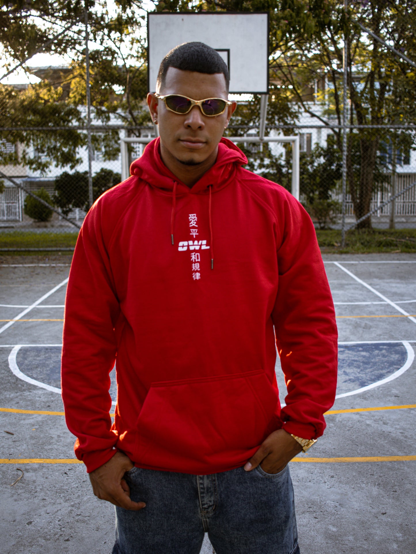 HOODIE DRAGÓN SAKURA ROJO