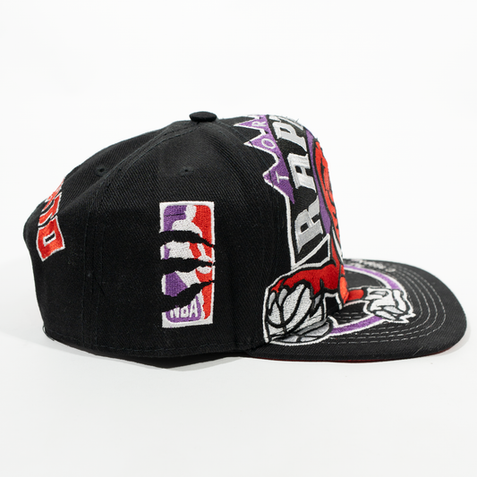 Gorra Logo RAPTORS